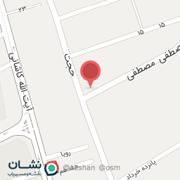 عکس شوینده بهداشتی صدف