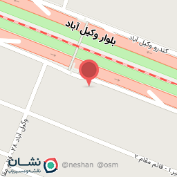 عکس پیتزا هیزمی