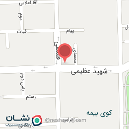 عکس شرکت نشر دیجیتال پارس استاک