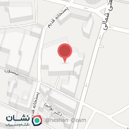 عکس دنیز الکترونیک 