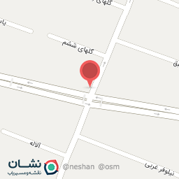 عکس برگر امیر و سام