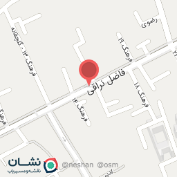 عکس کارواش دو دلفین