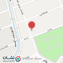 عکس فست فود