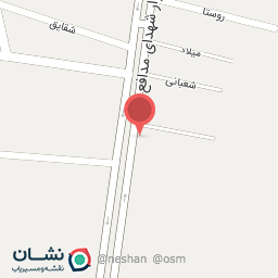 عکس پیتزا ضامن