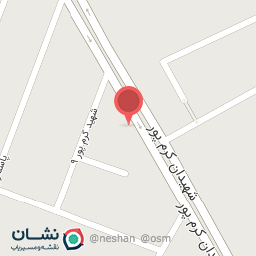 عکس مکانیکی و جلوبندی زانتیا و پژو