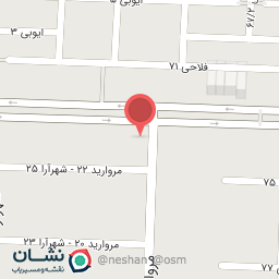 عکس مرغ بریان 