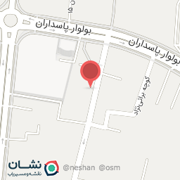 عکس الکتریکی امیری