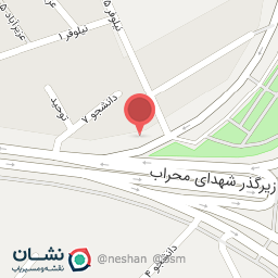 عکس فرش وزرا