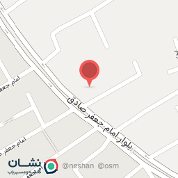 عکس کیف و کفش ست