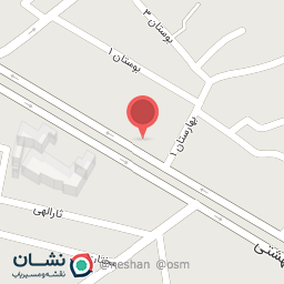 عکس لواشی سید