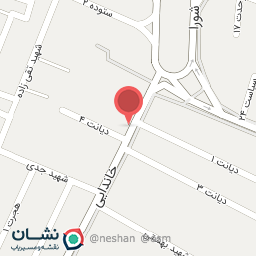 عکس باطریسازی معصومی نژاد