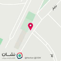 عکس برنج سرای گیلان