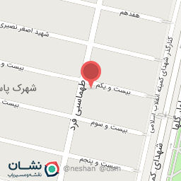 عکس اسلایس فود امیر 