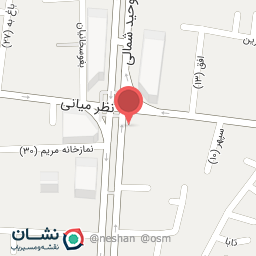 عکس دکتر احمد فروتن