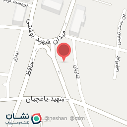 عکس مرغ آذران مرغ