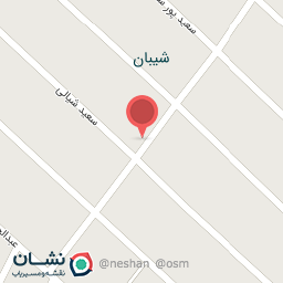 عکس پیتزا برگر ناب