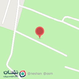 عکس پت طاها