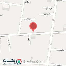 عکس گلدوزی محسن