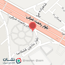 عکس صافکاری استاد وفادار و برادران