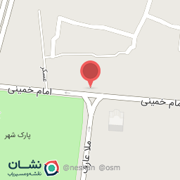 عکس مشاور املاک شفایی