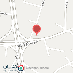 عکس کبابی امیر 