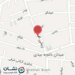 عکس اتو سرویس مهدی