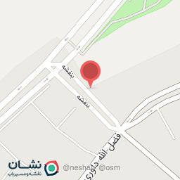 عکس رنگ اتومبیل امیر(ترکیب رنگ خودرو)