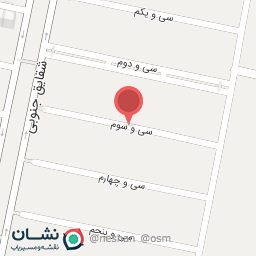 عکس غذای آریش