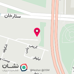 عکس آمبولانس خصوصی امداد بهزیستان پارس