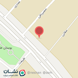 عکس شایان تکنیک داوود