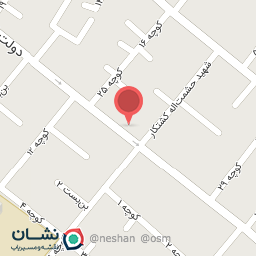 عکس پنچر گیری دیلمی