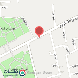 عکس چلو کباب صفا نو