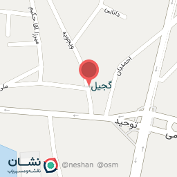 عکس دار قالی علیرضا و غلامرضا ارجمندی 