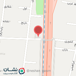 عکس پیتزا پاراج