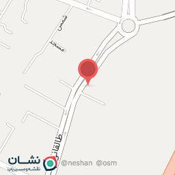 عکس مرغ سوخاری سیمرغ