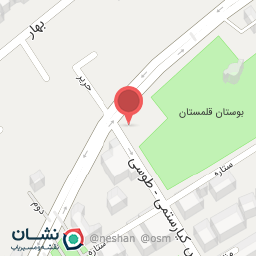 عکس پیتزا هات