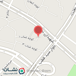 عکس تابلوسازی استاد صلاح