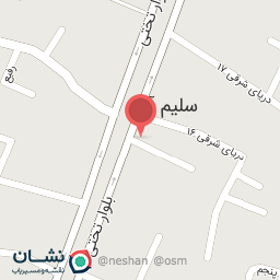 عکس پیتزا زیک