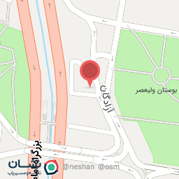 عکس پیتزا امیر خان