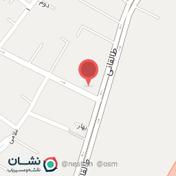 عکس گروه حفاظتی ایران تک