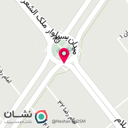 عکس موکب مجتمع فرهنگی حضرت امیرالمومنین تجمع مردم مبعوث شده