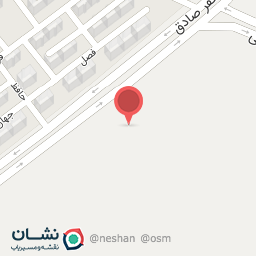عکس پیتزا آنیک