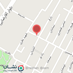 عکس پیتزا عالیجناب 