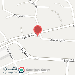 عکس کفش فرشاد حمزه زاده