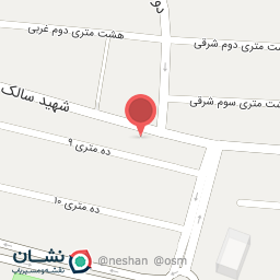 عکس همبرگر سرای خانگی بست