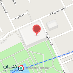 عکس کیف و کفش لوماری