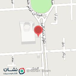 عکس پیتزا پیکو حبیب