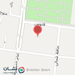 عکس کفش زنانه نایس