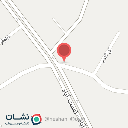 عکس پیرایش مستر کات