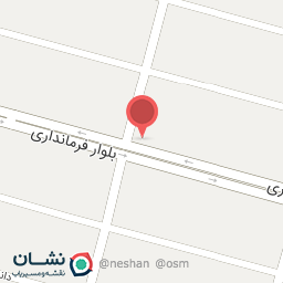 عکس الکتریکی مجید شهپر